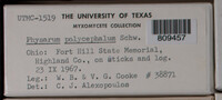 Image Associated With the Occurence